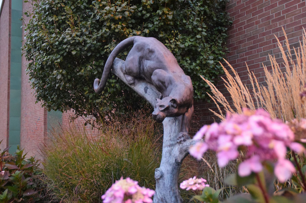 GCSD Panther